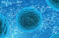 庄闲ag·(中国)红蓝大战集团