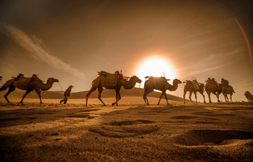 庄闲ag国际 “一带一路”倡议培训平台